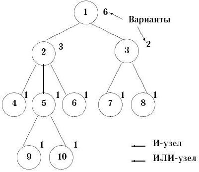 Построение числовых систем проект